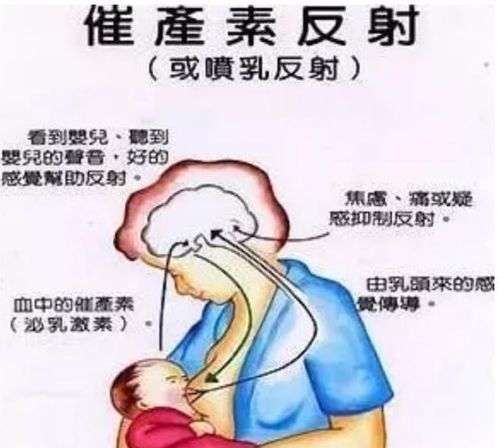 喷着奶水的乳奴