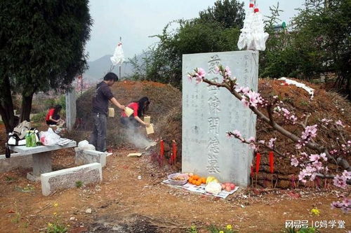 清明上坟讲究,牢记 两不去 ,孕妇不去孩子不去,别不听话