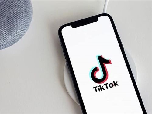 如何注册境外tiktok_在哪能买到TikTok账号