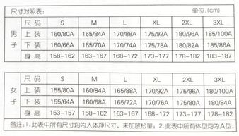 衣服尺码字母(衣服尺码字母怎么看)