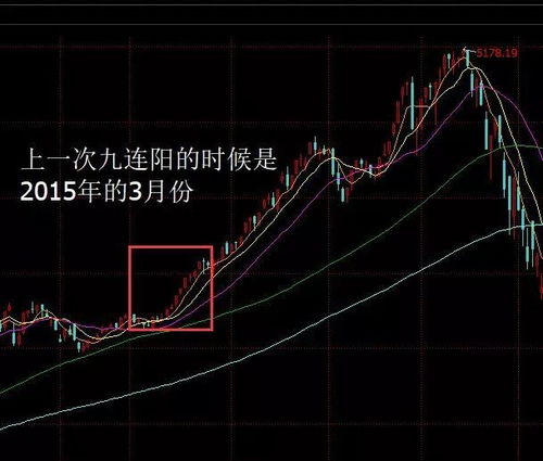 A股三大指数开盘涨幅超过5%，逾5000只个股上涨