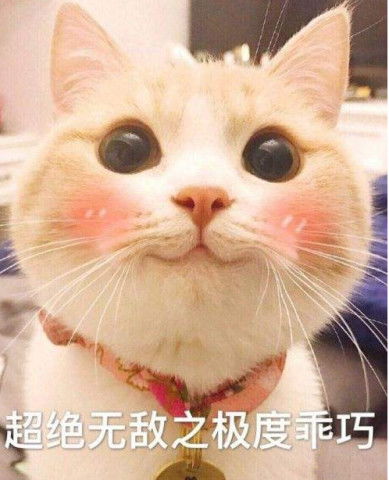 猫咪和小主人一起睡 听到有声音时迷迷糊糊醒来 嘘 小点声 别吵醒宝宝啦