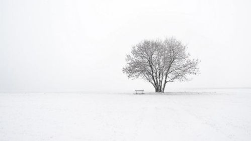 雪后的景色的诗句