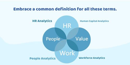 人力资源分析,人员分析,劳动力分析 有什么区别