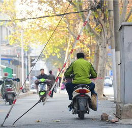 郑州顺河路线杆 跑 到路中间 市民担心过往安全 