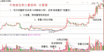 给分析一下002022股票怎麽样？什么价位能介入？