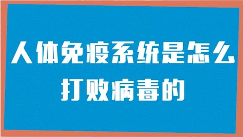 你需要了解的防疫小知识 人体免疫系统是怎么打败病毒的