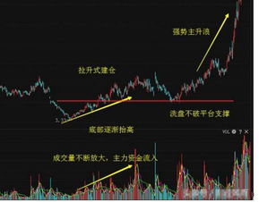 社保重仓的股票，在吸筹和拉升股价的过程中，有什么特点？