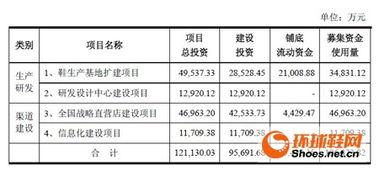 上市公司募集资金用途有哪些