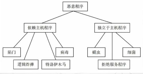 计算机病毒源码分析