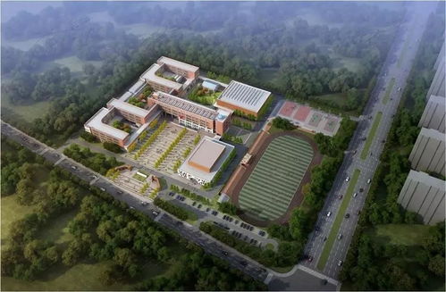 章丘鲁能实验小学怎么样(章丘鲁能实验小学2020年招生范围)