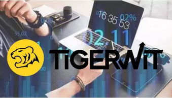 TigerWit知识课堂 3条小窍门,帮助你提高你的外汇交易胜率 压力 