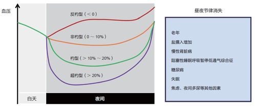 为什么动态血压监测结果中夜间血压明显下降