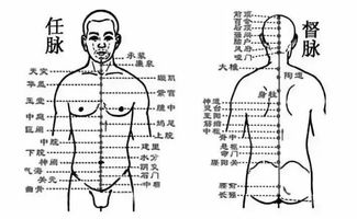 打通任督二脉的功法