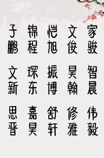 满分聪明的男孩名字 贾师傅起名改名 