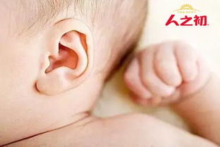 婴儿耳朵湿疹怎么引起的(婴儿耳朵湿疹的治疗方法)