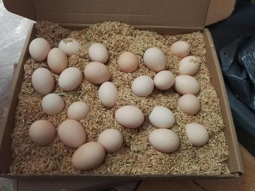 三种鸡蛋不建议买