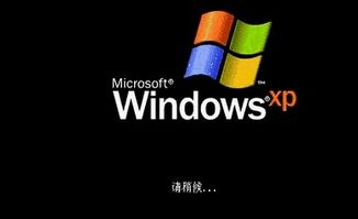 win10系统c4dr23安装步骤