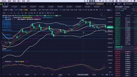 比特币以后还会涨上去吗