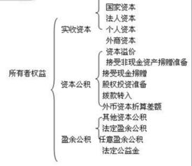 所有者投入企业资本金的减少额和增加额是什么意思