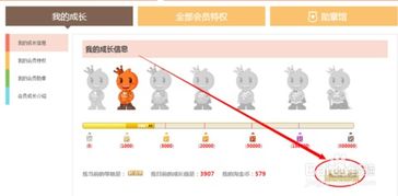 如何查看淘宝会员的成长记录
