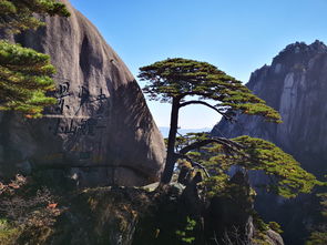 中国人常说的三山五岳, 三山 究竟是指哪几座山,看完涨知识了