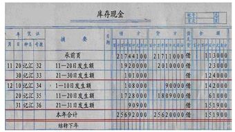 总分类账应当如何登记,需要实物图解,急!