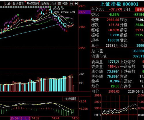 深市和沪市总股本最大和总市值最大的前10名上市公司是哪些？