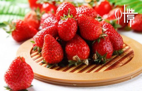 鲜味研究所 给新鲜草莓一个恒温空间 冰箱 