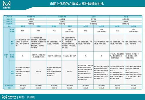 公司按多少比例交呢