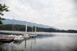 水岛畅快游 体验龙水湖里巴适的夏天