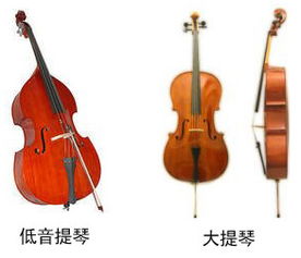 如何分辨小提琴,中提琴,大提琴和低音提琴 