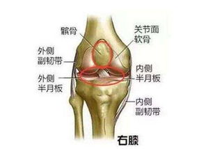 这几个损害膝关节的瑜伽体式你肯定练过吧