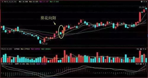 在07年，中国平安的最低股价是多少