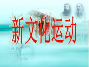 新文化运动以儒家传统文化