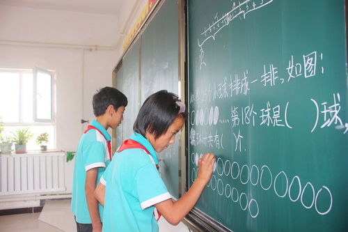 小学老师说让孩子学习乐器将来升学加分是真的吗(小孩学乐器多少钱)