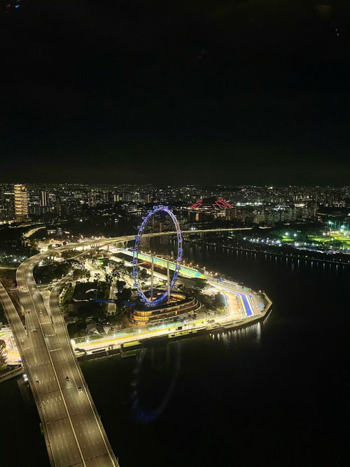 总结新加坡金沙空中花园看夜景的6个小建议 