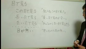 日语零基础教学视频日常问候语学习 日语口语