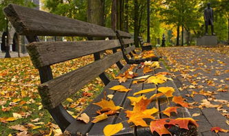 关于秋天凳子的诗句