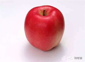 什么时候吃苹果最好,食品安全每日科普·什么时候适合吃苹果？