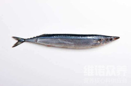 秋刀鱼用什么料,科学营养的秋刀鱼饲料配方