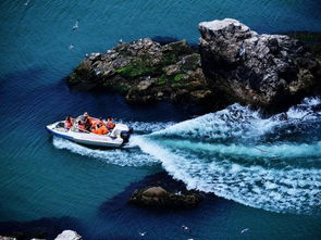 威海海驴岛门票价格 开放时间 介绍和团购预订 威海旅游 