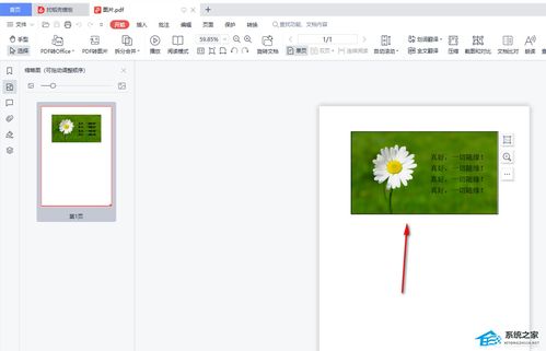 如何用WPS把PDF里的图片文字提取出来 WPS PDF文字提取教程 