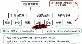 中级会计职称 财务管理 知识点 财务管理环节