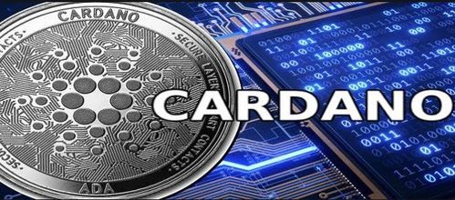 CARD是什么币_cardano币最新消息