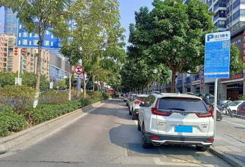 贵阳市云岩区路边智慧停车可以包月吗(贵阳智能化停车场)