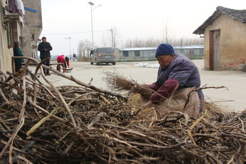 环保专家建议停用柴禾，改用天然气，在农村为什么很难执行