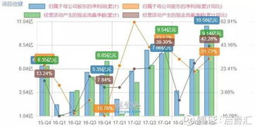 盛新锂能: