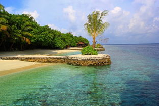 去马尔代夫旅游探索力士岛的美丽风光（马尔代夫莉莉岛）