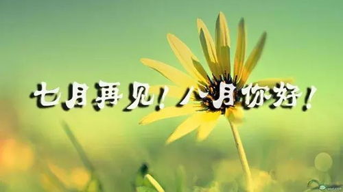 7月结束8月加油的句子